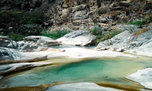 Los jagüeyes de Mayascón