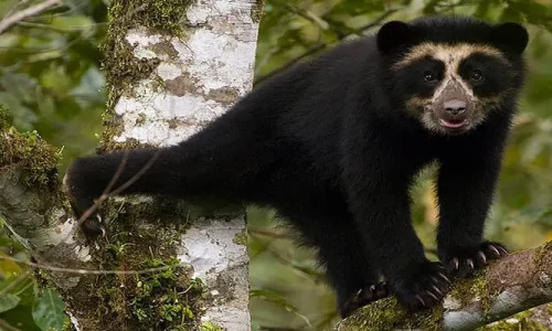 Reserva Nacional Ecológica de Chaparrí
