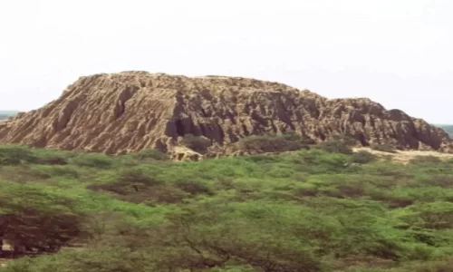 Santuario histórico de Bosque de Pómac